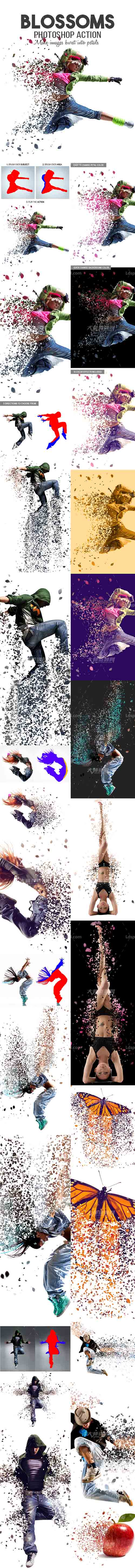 Blossoms Photoshop Action,极品PS动作-花瓣抽离(含高清视频教程)